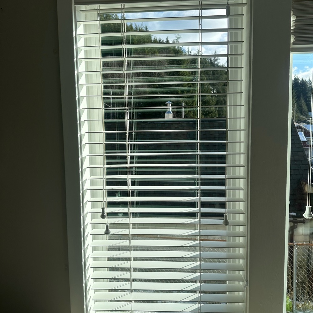 Elegant White Window Blinds